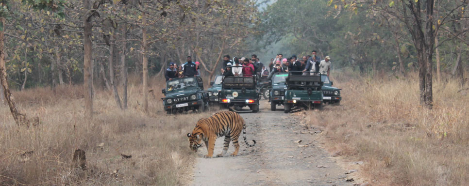  tour for tipeshwar