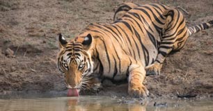 tipeshwar tour packages